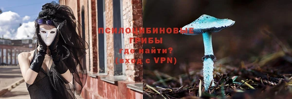 таблы Осинники