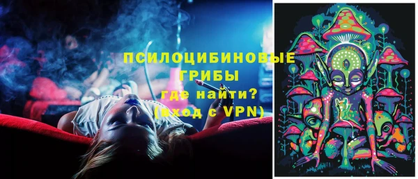 таблы Осинники